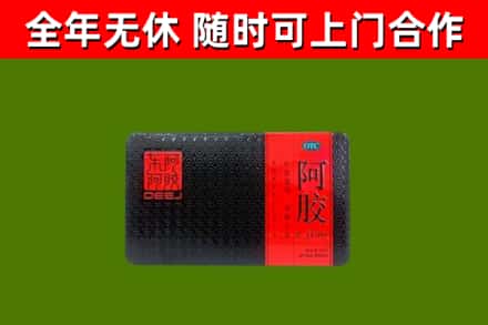 屏南烟酒回收阿胶.jpg